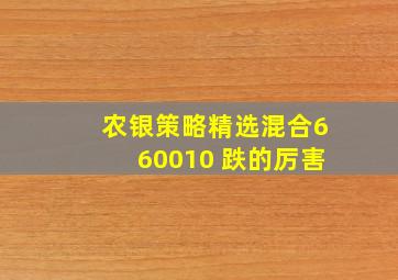 农银策略精选混合660010 跌的厉害